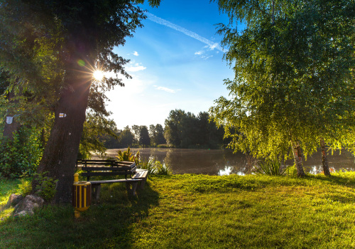 Transform Your Space with Flags & Kubota Tree Pullers